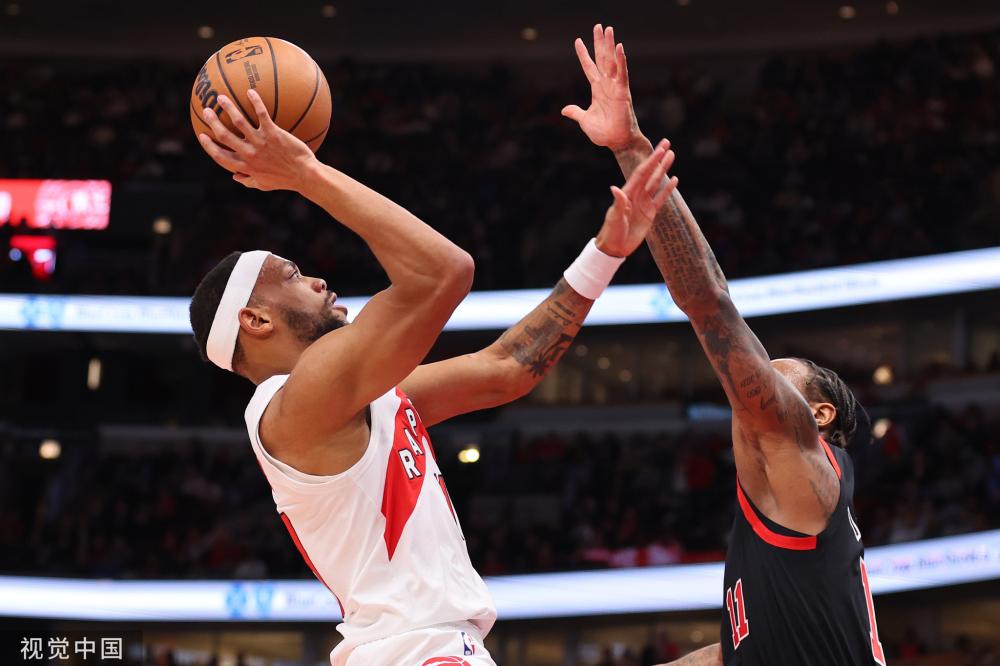 涯提供了宝 涯提供了宝